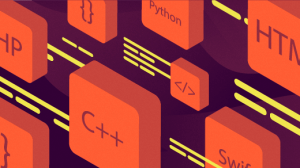 Which Programming Language should you Learn First?
